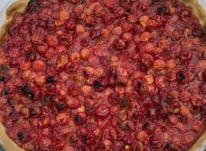 Une photo de Tarte aux cerises aigres
