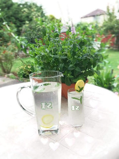 A picture of 🍋🥂🍋Lemonade🍋🥂🍋.