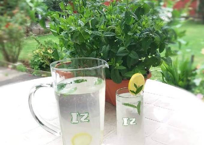 Step-by-Step Guide to Make Award-winning 🍋🥂🍋Lemonade🍋🥂🍋