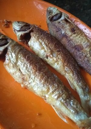 A picture of Bata fish fry.