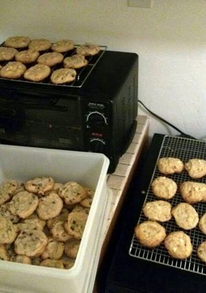 A picture of Chewy chocolate chip cookies.
