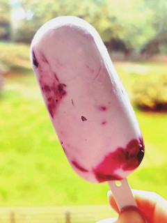 Una foto de Helado ligero de yogur, arándanos y cerezas con moldes Lékué