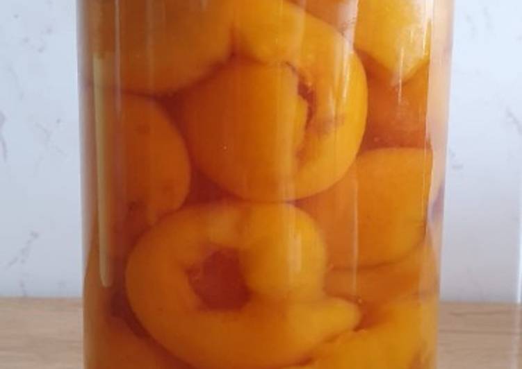 ✅🗣📢 Carcasas de Nísperos en Almíbar