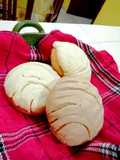 ❤️Conchas Bebés ❤️