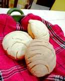 ❤️Conchas Bebés ❤️