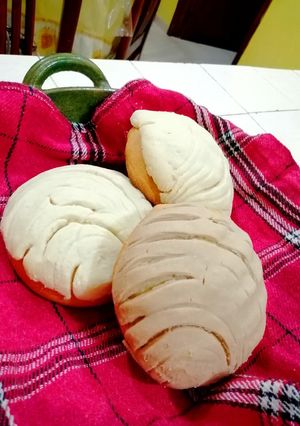Una foto de ❤️Conchas Bebés ❤️