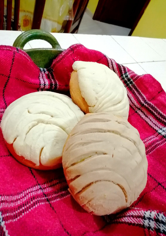 Una foto de ❤️Conchas Bebés ❤️
