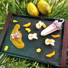 A picture of Frozen fruit Yoghurt.