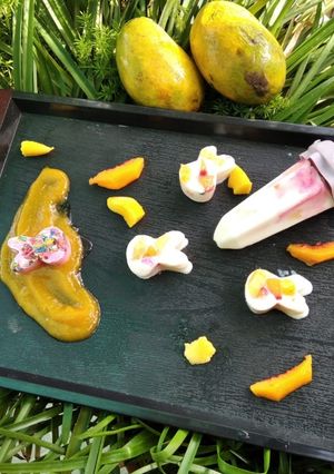 A picture of Frozen fruit Yoghurt.