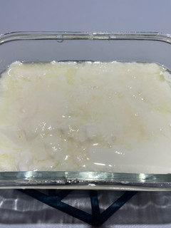 9. 原味無糖優格(麵包機/優格菌種) 的食譜成品照片
