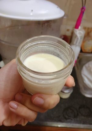 Hình của món Ăn dặm- sữa chua em bé.