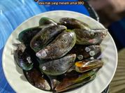 Gambar kupang bakar
