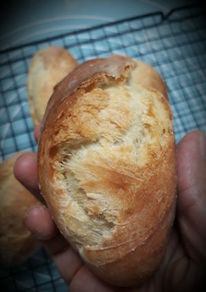 Hình của món Bánh mì Việt Nam vỏ giòn ruột mềm.