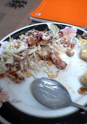 A picture of Salatka Gyros.