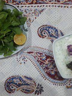 عکسی از دستور ماست و کدو