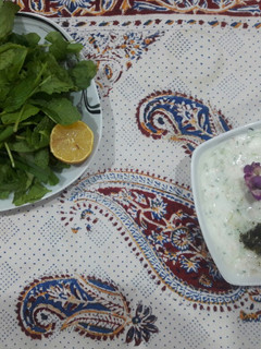 عکسی از دستور ماست و کدو