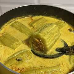 รูปของ Paria/Pare Kambu