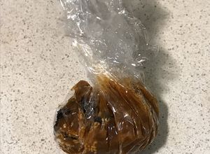 Foto principal de Miso-dama (bola de miso para llevar)