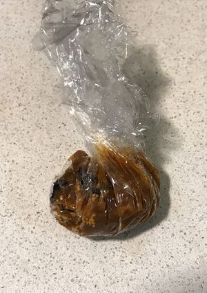 Una foto de Miso-dama (bola de miso para llevar)