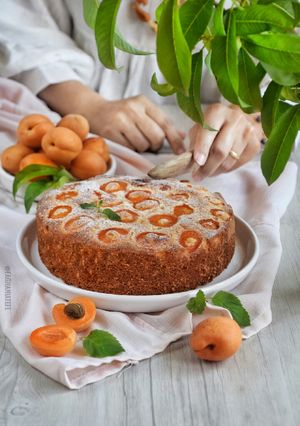 عکسی از دستور کیک زردآلو