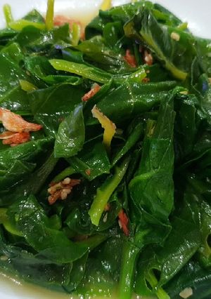 蒜炒櫻花蝦皇宮菜 的食譜成品照片