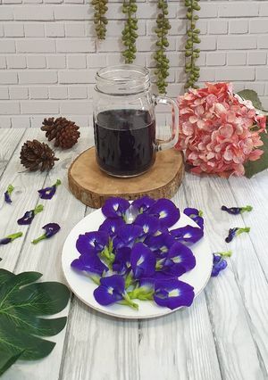 Foto resep 202. EKSTRAK BUNGA TELANG