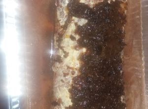 Una foto de Lomo mechado con vino blanco y ciruela pasa
