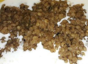 Foto resep Bubur Manis Sorghum
