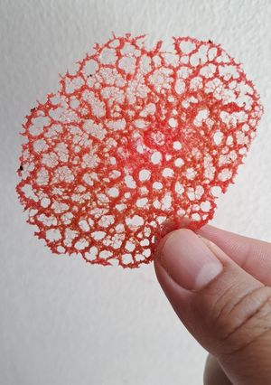 Foto resep Coral Tuile