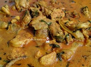 Gambar Rendang Ayam Berkuah