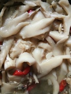 Foto resep Tumis Jamur Tiram