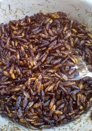A picture of Termites/ Kumbekumbe.