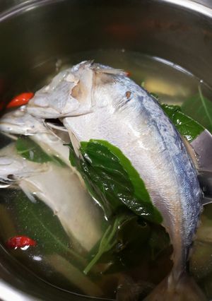 รูปของ ต้มยำปลา​ทู