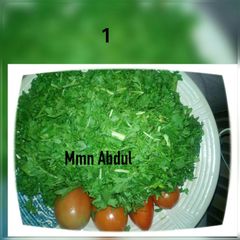 A picture of Lamsir salad.