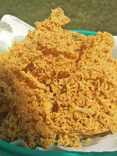 Foto resep Kremesan Ayam