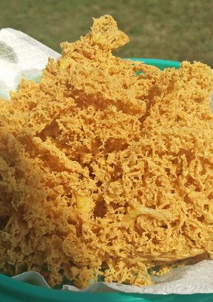 Foto resep Kremesan Ayam