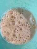 Batido de Aloe-Zanahoria-Apio-Naranja Agria (smoothie)