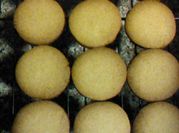 A picture of ginger biscuits