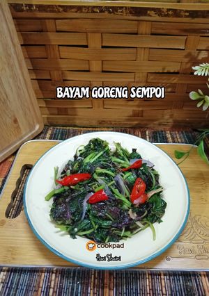 Gambar 5:11:25 - Bayam goreng sempoi