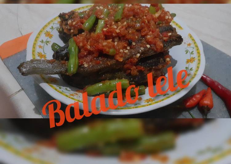 Bahan Balado Lele | Bahan Membuat Balado Lele Yang Enak Dan Mudah