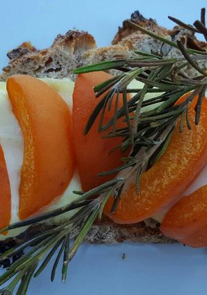 Une photo de Tartine abricot/tomme de vache et romarin
