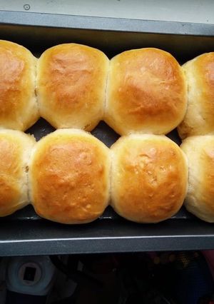 A picture of Ladi Pav.