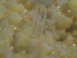 Risotto de verduras con queso