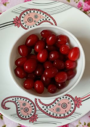 عکسی از دستور زغال اخته