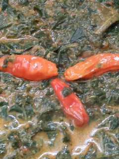 Foto resep Sayur daun singkong santan