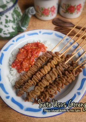 Foto resep Sate Usus Goreng