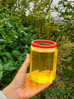 عکسی از دستور شربت زعفران 😋😍 Saffron syrup