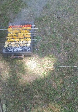 عکسی از دستور جوجه کباب