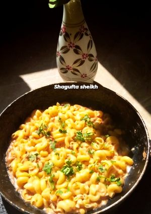 A picture of Double sauces pasta 🍝.