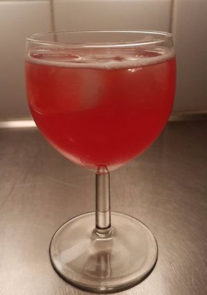 Foto resep Redcurrant syrup